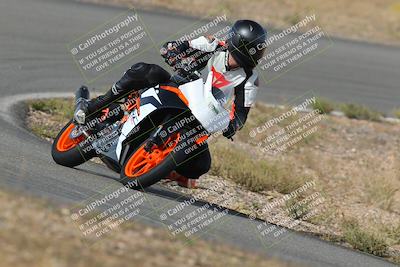 media/Nov-04-2023-2WTD (Sat) [[147bbb9217]]/B Group/1020am (Turn 3)/